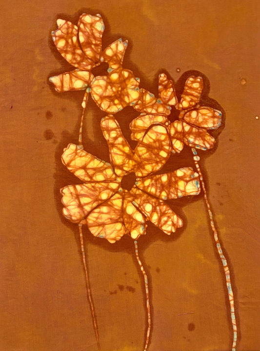 Cosmos